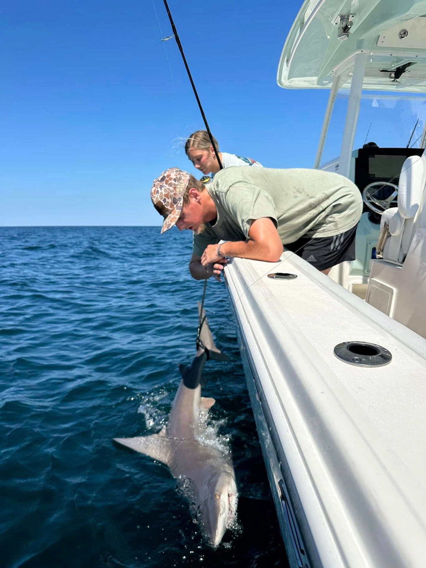 4-Hour “Sunsets and Sharks” Trip